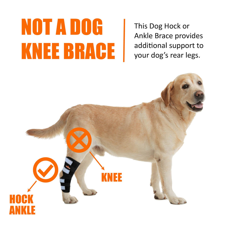 NeoAlly Dog Rear Leg (One Leg) Hock Brace, Canine Leg Wrap for Hind Leg, Ideal Hock & Ankle Support and Protection for Sprain Recovery, Achilles Tendon Injury (Extra Large (Left Leg)) Right Leg Small