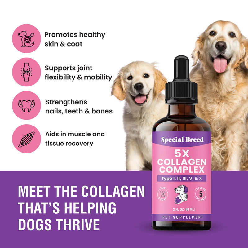 Premium Collagen for Dogs - Liquid Support for Joints, Skin, Coat, Bone, Immune System & HIPS - Collagen Supplement - Made in USA - 2oz 2 Ounce