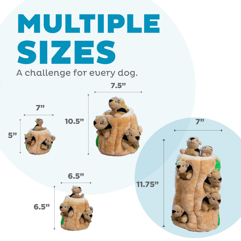 Outward Hound Hide A Squirrel Plush Dog Toy Puzzle, XL Multi 5 Piece Set - PawsPlanet Australia