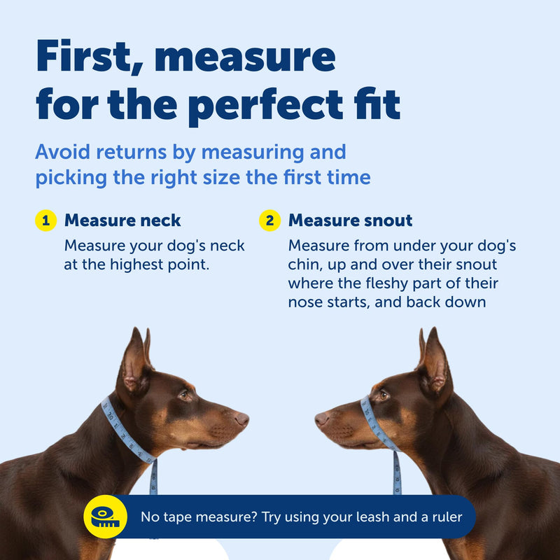 PetSafe Gentle Leader Headcollar, No-Pull Dog Collar – Perfect for Leash & Harness Training – Stops Pets from Pulling and Choking on Walks – Medium, Deep Purple