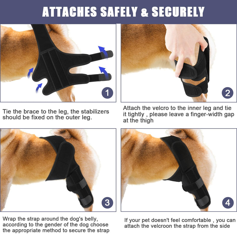 Dog Rear Leg Braces, For Support With Cruciate Ligament Torn Injury Joint Hip And Muscle Sore Dog Leg Braces for Back Leg Dog ACL Brace Knee Brace for Dog ACL Brace Hind Leg (Black, Size M)