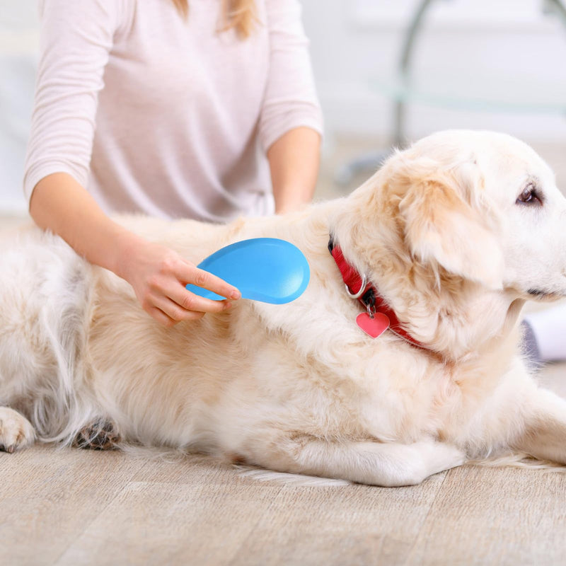 Dog Grooming Brush for Small Breeds, Soft Bristles, Suitable for Shih Tzu, Yorkie, Teddy (Blue)