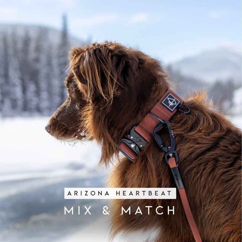 MADE TO ROAM Premium Explorer Leash - Climbing Rope Leash with Autolocking Aviation Aluminum Carabiner - New York Afterlight, 6ft 6 Feet