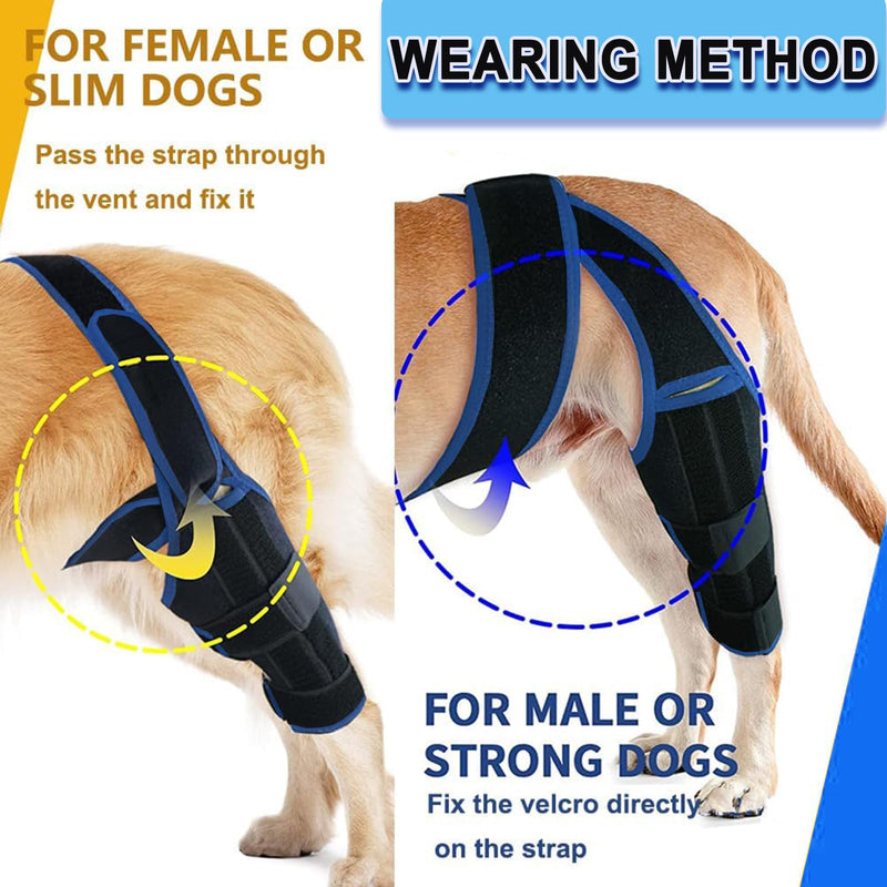 Dog Knee Brace for Torn ACL Hind Leg for Support Reflective Dog Joint Protection Arthritis Pain Relief Adjustable Recovery Brace for Dogs Front Back Leg Vet-Recommended L Blue