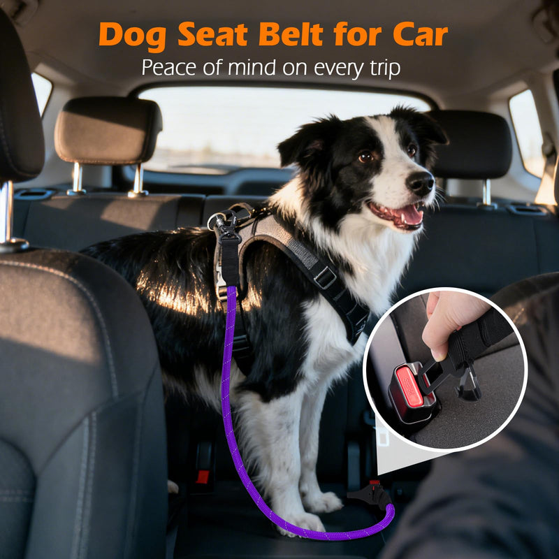 PetBonus Dog Seat Belt for Car, Durable Rope Dog Car Harness Seatbelt for Vehicle, Pet Tether Safety Restraint with Heavy Duty Buckle Hook Latch Lockable Clip for Small Medium Large Breeds (Purple) Purple