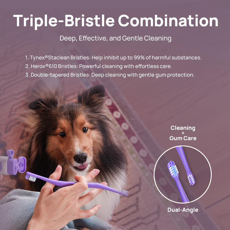 HICC PET Toothbrush for Dogs & Large Cats, Vet-Recommended Ergonomic Pet Toothbrush for Easy Teeth Cleaning, Gentle on Gums, Cat & Dog Dental Care, Improves Oral Hygiene. Toothpaste Not Included Purple for Dogs & Large Cats