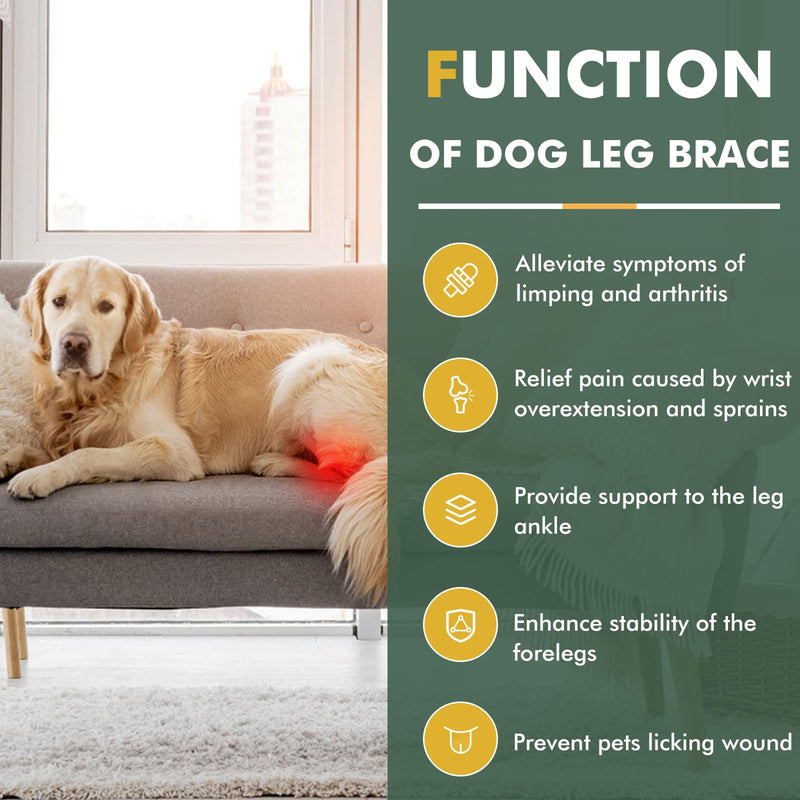 Dog Rear Leg Hock Ankle Brace for Torn ACL & CCL, Dog Leg Braces for Back Leg with Metal Spring Inserts, Dog Wrap Brace for Bottom Joint with Reflective Straps XS