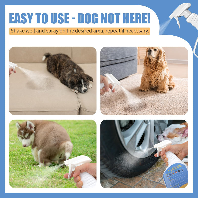 16 Oz Training Aid Spray for Dogs | Effective Training Spray for Dogs to Stop Unwanted Marking and Messy Urination 16.0 Fl Oz - PawsPlanet Australia