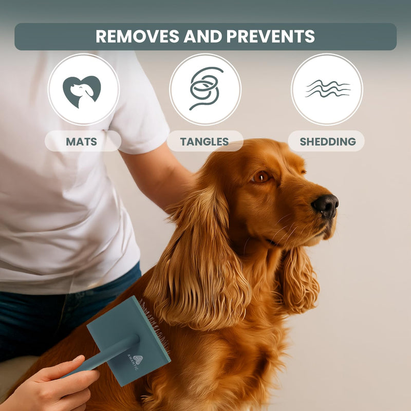 Self- Cleaning Slicker Brush for Dogs Suitable for Short & Long Haired Dogs and Effective Deshedding for Pet Grooming, Undercoat Removal, Tangle-Free Fur (Green Brush + Comb) Large - PawsPlanet Australia
