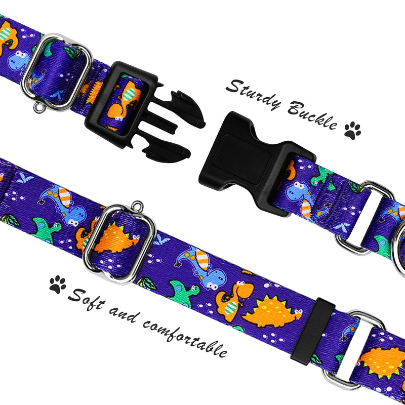 Hikiko Martingale Collar for Dogs Cute Dinosaur Dog Collar for Small Medium Large Dogs Comfortable Nylon Funny Dog Collars (Dinosaur,Large) - PawsPlanet Australia