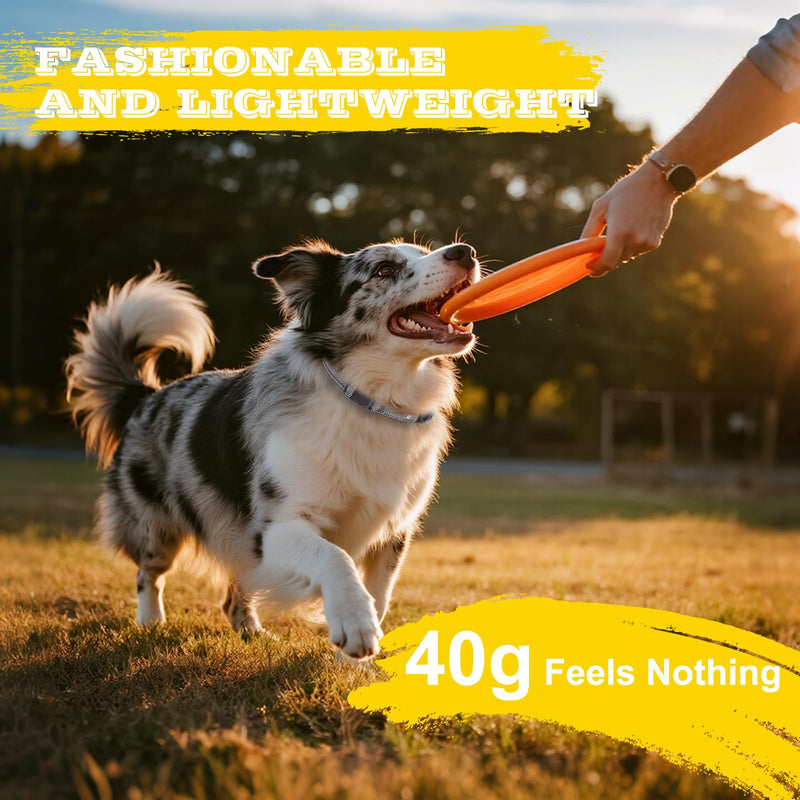 Comfortable Dog Collar Replacement Strap, Reflective Breakaway Dog GPS Training Bark Receiver Collars, Heavy Duty E Collar, Adjustable Collars Straps for Small Medium Large Dogs L(17"-26.5") L(17"-26.5") - PawsPlanet Australia