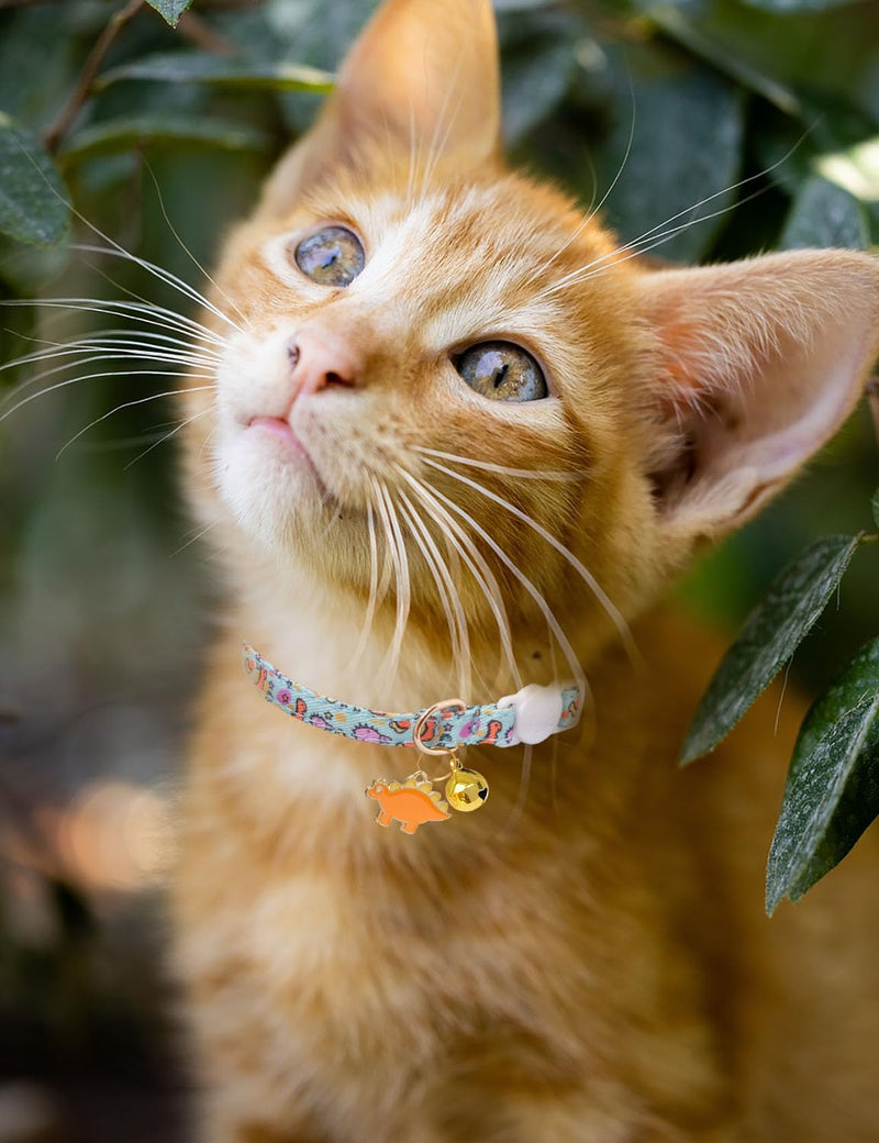 Cat Collar Breakaway with Bells,3 Pack Safety Adjustable Pet Collars,Ideal for Girl Boy Kittens. (White Blue Dinosaur) white blue dinosaur - PawsPlanet Australia