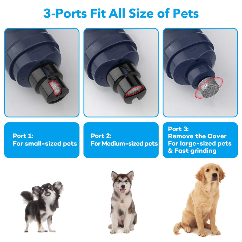 Casfuy Dog Nail Grinder with 2 LED Light - New Version 2-Speed Powerful Electric Pet Nail Trimmer Professional Quiet Painless Paws Grooming & Smoothing for Small Medium Large Dogs and Cats (Blue) B-Blue - PawsPlanet Australia