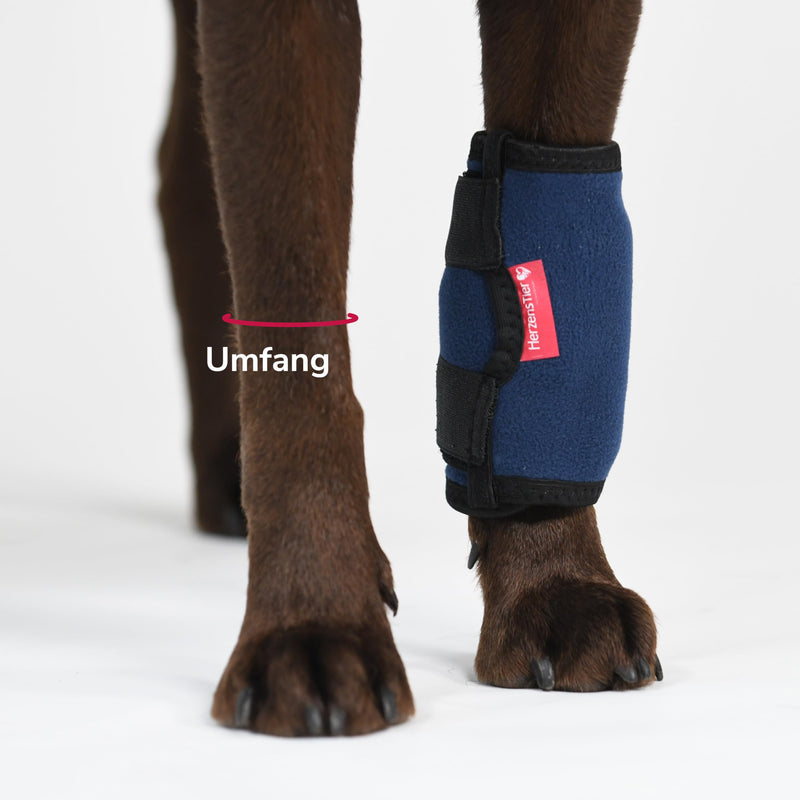 Cooling and Heat Bandage Size L for Dogs and Cats, 2-in-1 Therapy for Injuries and Osteoarthritis