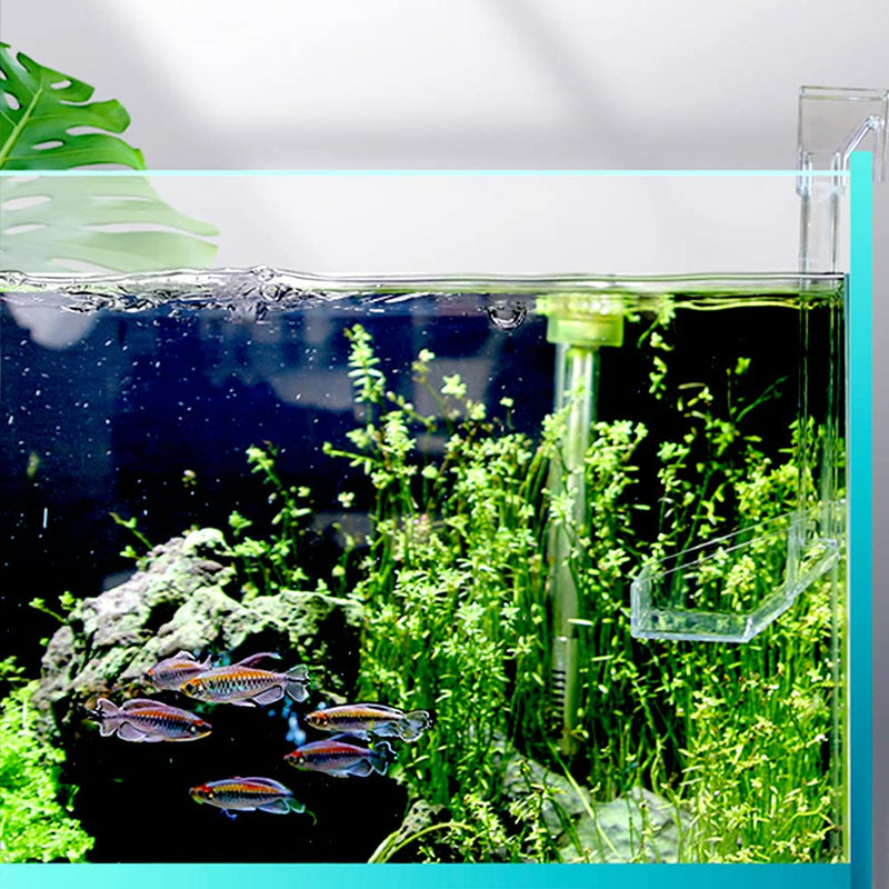 Shrimp Fish Feeding Dish, Aquarium -Sky Restaurant- Betta Feeding - Prevent Food Spilling, Fish Feeder, Also Easy to Clean Up The Food Left Over, African Feeding, Dwarf Frogs Feeding S - PawsPlanet Australia