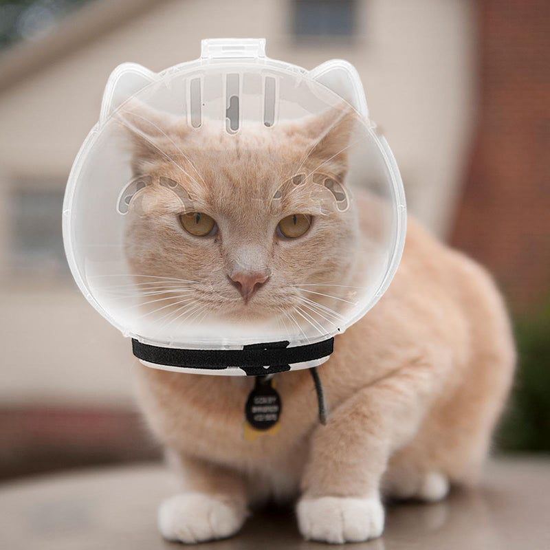 Transparent cat muzzle, adjustable bite protection, kitten astronaut helmet, chew guard | Small animal shaving system, safety device for grooming, for prevention, grooming aid