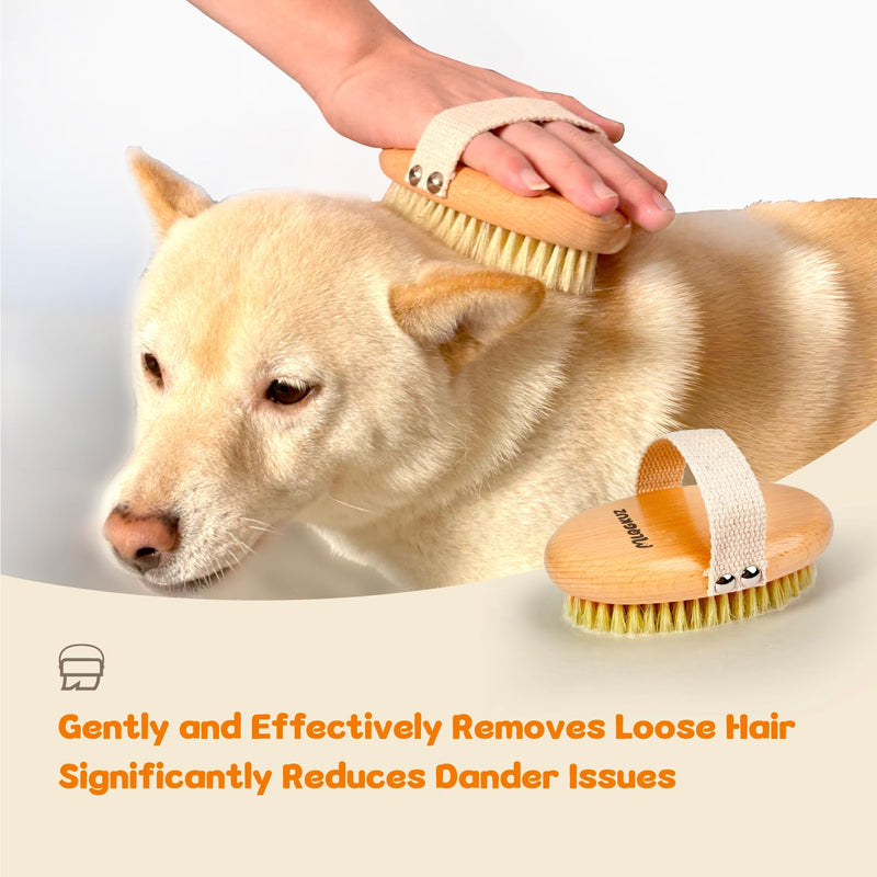Professional Dog Brush Boar Bristle for Short-Haired Dogs - Reduces Shedding, Non-Slip Grip, Gentle Grooming - PawsPlanet Australia