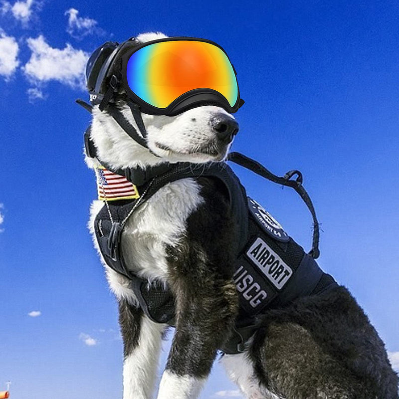 Pacify Dog Goggles for Large Dogs, UV Protection Dog Sunglasses with Adjustable Strap for Medium Large Dog Pet Glasses Black - PawsPlanet Australia