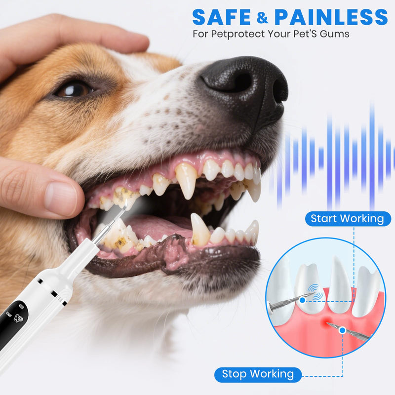 Dog Plaque Remover for Teeth,Pet Ultrasonic Tooth Cleaner with LED Light,Cleaning Kit for Tartar and Stains,5 Adjustable Modes,Pet Teeth Cleaning kit,Suitable for Dogs and Cats (White) White - PawsPlanet Australia