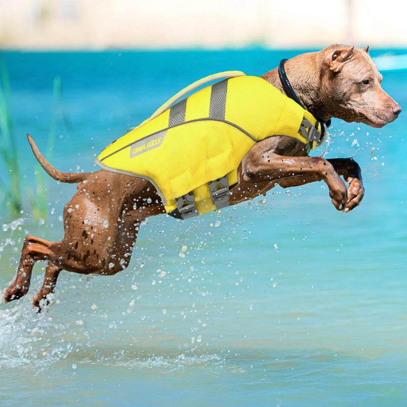 Zooland Dog Life Jacket with Reflective Stripes, Adjustable High Visibility Dog Life Vest Ripstop Dog Lifesaver Pet Life Preserver with High Flotation Swimsuit for Medium Dogs Large Light Green - PawsPlanet Australia