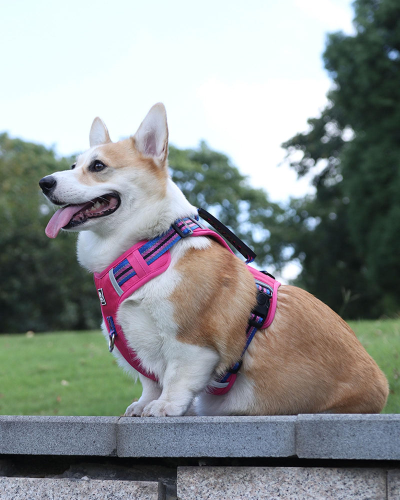 No Pull Dog Harness with Easy Control Soft Handle for Small Medium Large Dogs,Reflective Adjustable Puppy Harness,Heavy Duty Girl Boy Pet Vest with Safety Buckle (Pink, S) Pink - PawsPlanet Australia