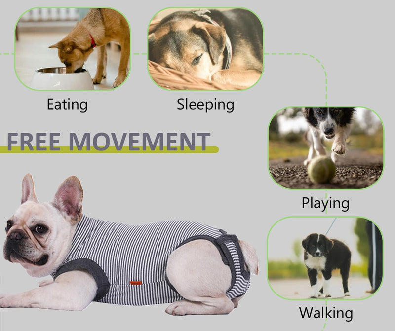 Dog Recovery Suit, Medium Dog Surgical Recovery Suit, Dog Surgery Recovery Suit for Male Neuter, Dog Spay Recovery Suit Female, Anti Licking Dog Recovery Onesie, Gray, M Medium (Back 14.6'', Chest 14''-17'') - PawsPlanet Australia