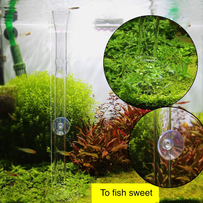 Shrimp Feeding Tube and Dish,Clear Crystal Glass Shrimp Feeder Tube Tray for Fish Tank Aquarium Shrimp 12“