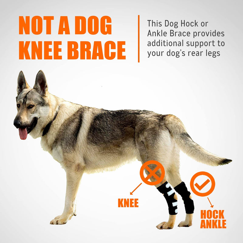 NeoAlly - Rear Leg Hock Brace with Metal Spring Strips, Dog Leg Brace for Rear Leg, Hock & Ankle Support, Rear Dog Leg Brace for Large Dogs, Long. (Both Legs, Small) Both Legs