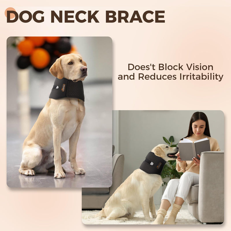 Dog Cervical Collar Neck Brace Supports Cervical Vertebral Sprains Instability, Neck Brace for Dog Limit The Range of Movement up and Down, Dog Cervical Brace Helps Recover from Cervical Sprains XL SBR XL(Neck Girth20"-24"/Neck Length5") - PawsPlanet Australia