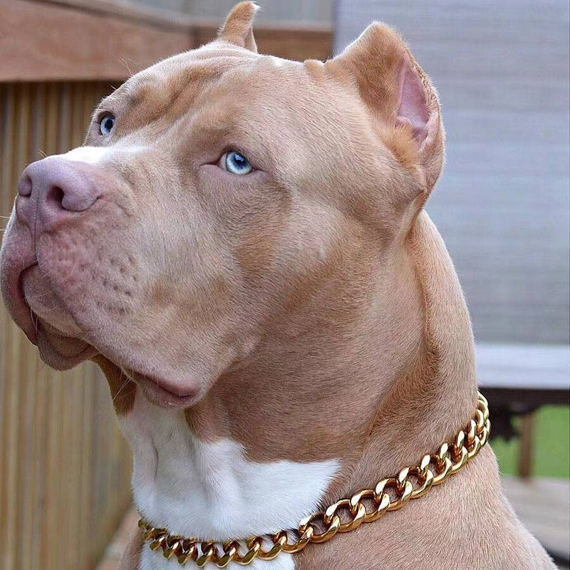 txprodogchains Big Dog Chain Collar with Buckle Strong Heavy Duty 19MM Thick Wide Stainless Steel Metal 18K Gold Cuban Link Chain Collar for Large Dogs 26" ( Fits Neck 24" to 25.5") - PawsPlanet Australia