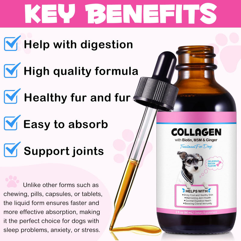 Liquid Collagen for Dogs – Daily Skin, Coat & Joint Support Collagen + | Promotes Mobility, Elasticity & Everyday Vitality | 60 ml Dog Supplement 1PC