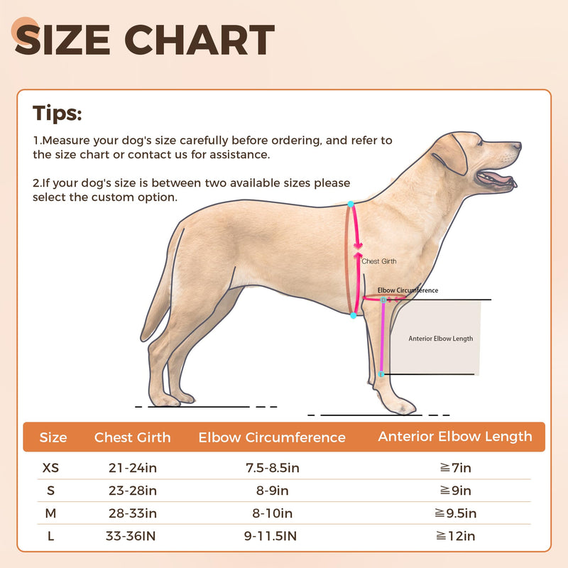 Dog Recovery Sleeve Front Leg Prevent Dog from Licking Wound, Dog Leg Sleeve is Made of Yoga Fabric, Dog Dleeve to Prevent Licking is Breathable, Suitable for Summer, Cone Collar Alternative L double leg black - PawsPlanet Australia