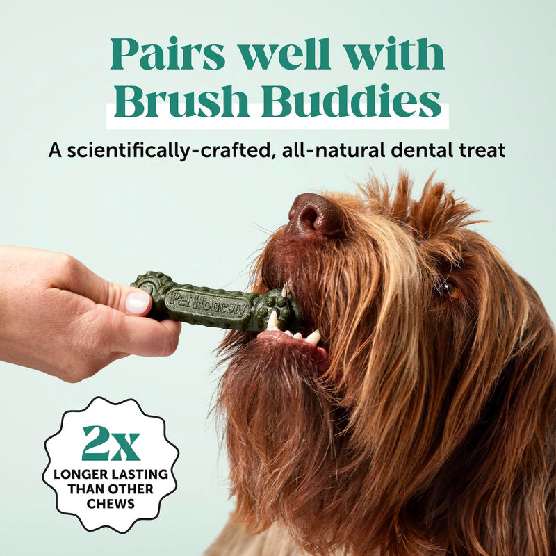 Dog Breath Freshener Dental Powder for Teeth Cleaning Plaque Off, Dental Care for Large Dogs, Tartar Remover for Teeth with Natural Herbal Blend + Postbiotics (Mint - 60 Servings) Dog Dental Powder Large Dog - PawsPlanet Australia
