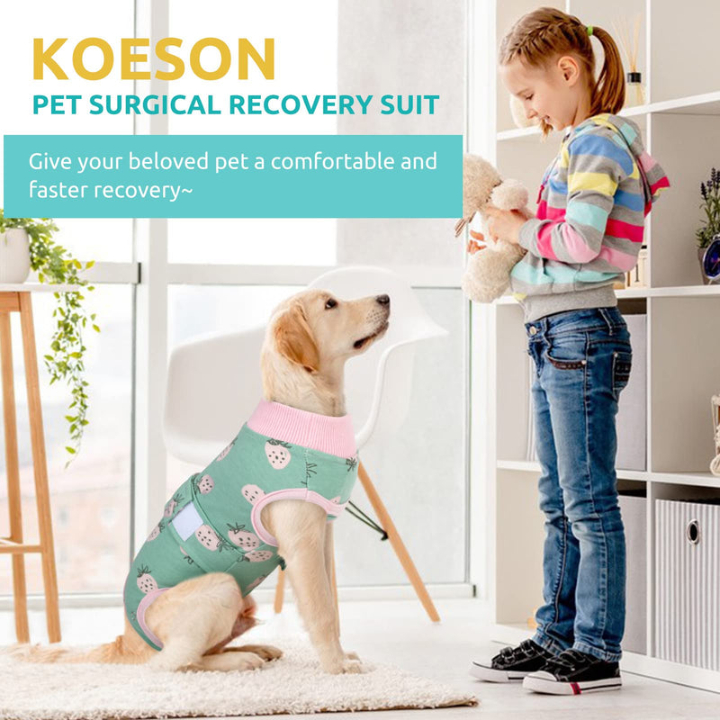 KOESON Dog Recovery Suit, Surgery Recovery Suit for Female Dogs Spayed Dog Cone Alternative After Surgery, Dog Post Surgery Suit Anti Licking & Biting Surgical Shirt with Pee Hole X-Small Strawberry