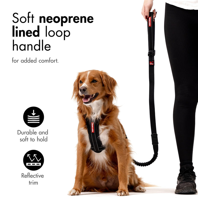 EzyDog Zero Shock Dog Lead - Shock Absorbing - Anti Pull Lead for Medium Dogs, Dog Leads For Large Dogs - Soft Double Handle, Traffic Control, 1.2m – Corduroy - PawsPlanet Australia