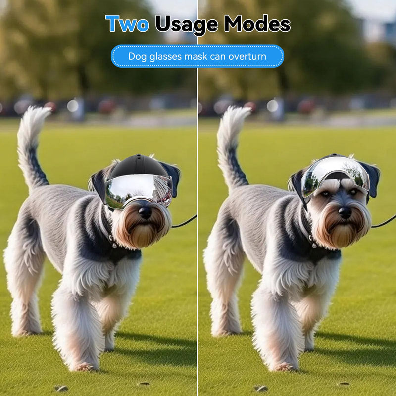 Namsan Dog Helmets for Small Dogs, Dog Helmet with Sun Lens Goggles, Doggie Helmets Hat with Ear Holes, Bike Doggie Helmet for Small to Medium Dogs, Adjustable, Black Silver Helmet - PawsPlanet Australia