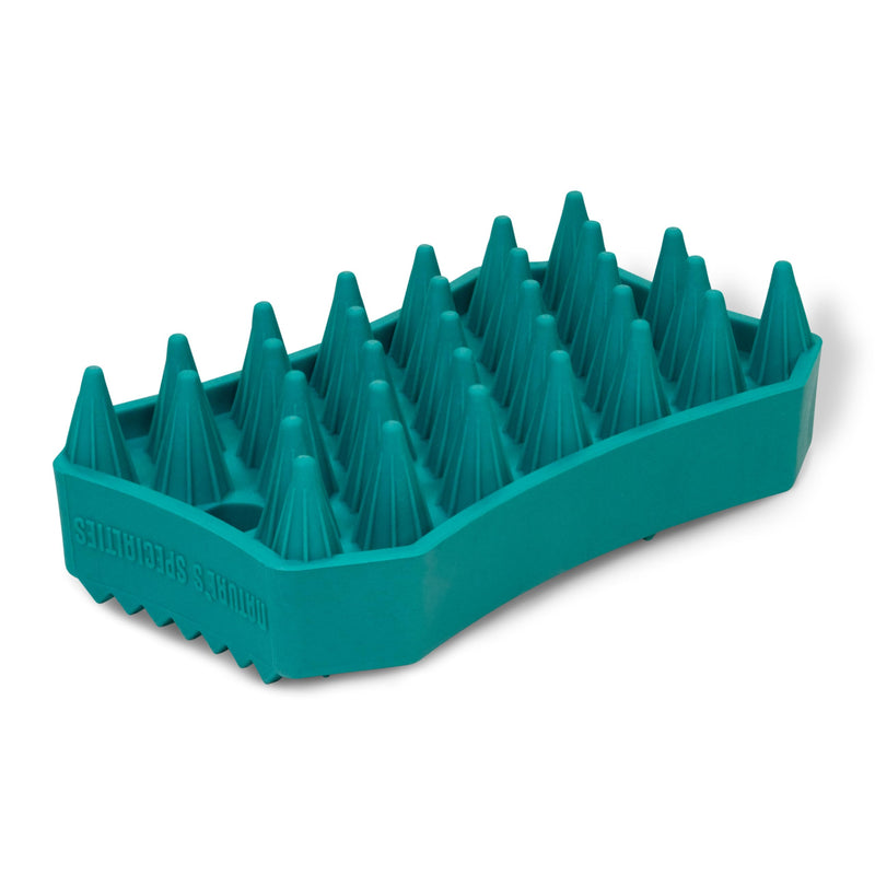 Nature's Specialties Waterproof Dog Bath Brush, Wet or Dry Coats, Grooming and Massage Rubber Comb for Dogs, Strong Grooming Rubber Bath Brush, Scrubber for Shower Bathing, Green - PawsPlanet Australia
