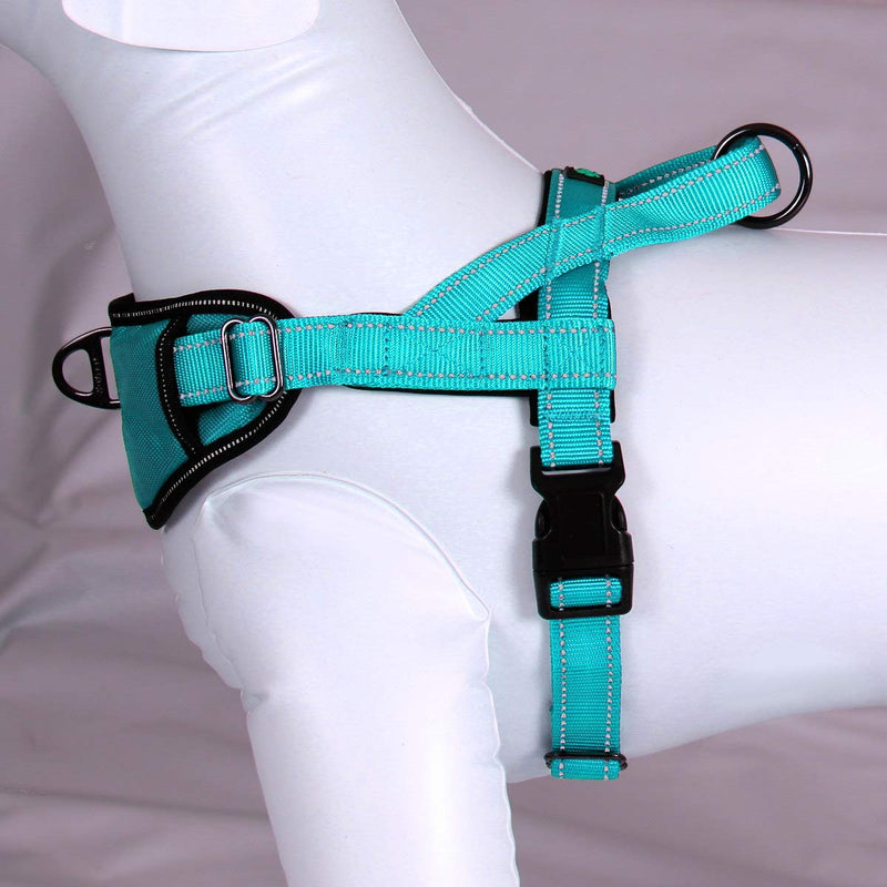 Max and Neo Passport Reflective Dog Harness - We Donate a Harness to a Dog Rescue for Every Harness Sold (Small (16"-22" Chest Girth), Teal) SMALL (16"-22" CHEST GIRTH) - PawsPlanet Australia