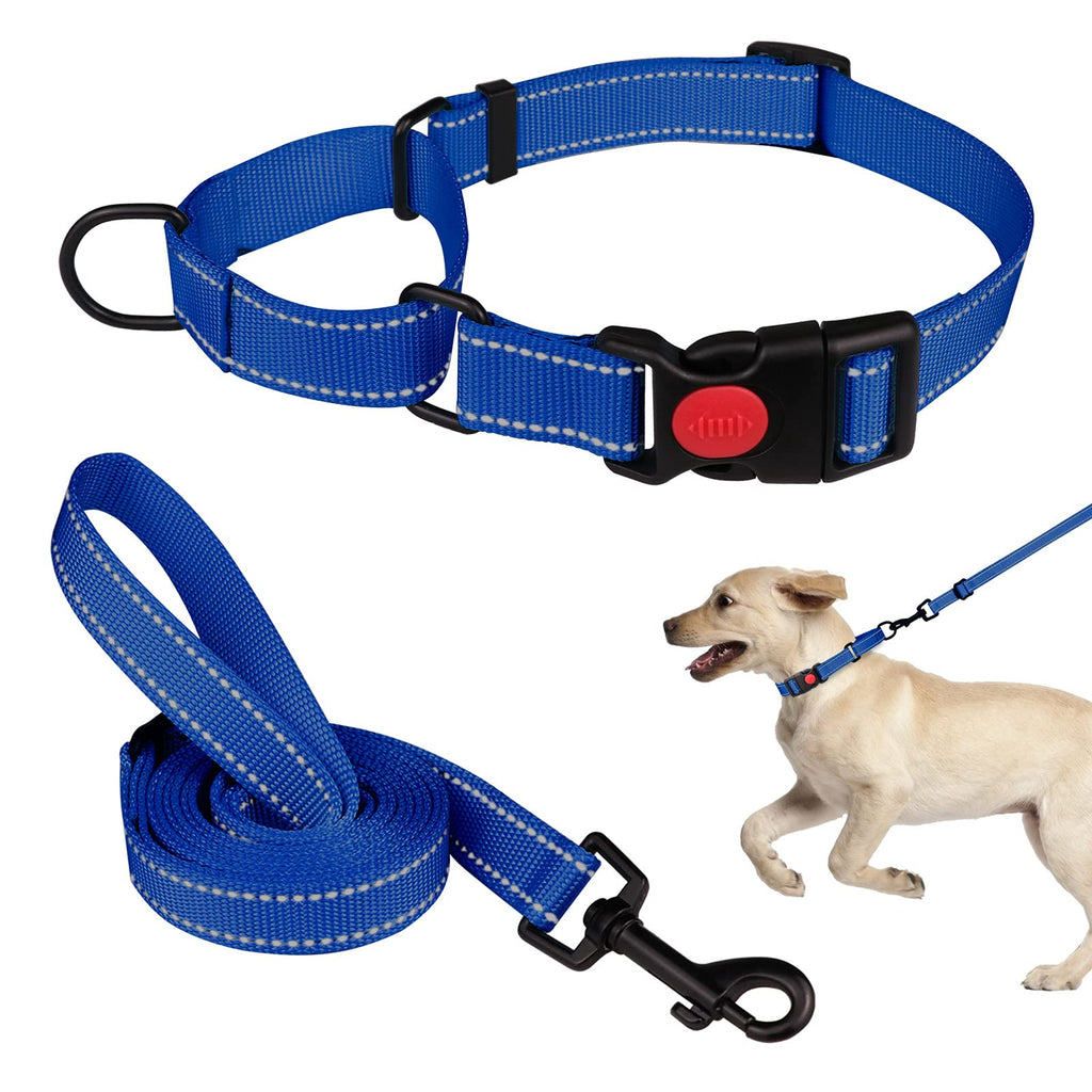 Martingale Dog Collar and Leash Set Martingale Collars for Dogs Reflective Martingale Collar for Small Medium Large Dogs(Blue&M) Blue