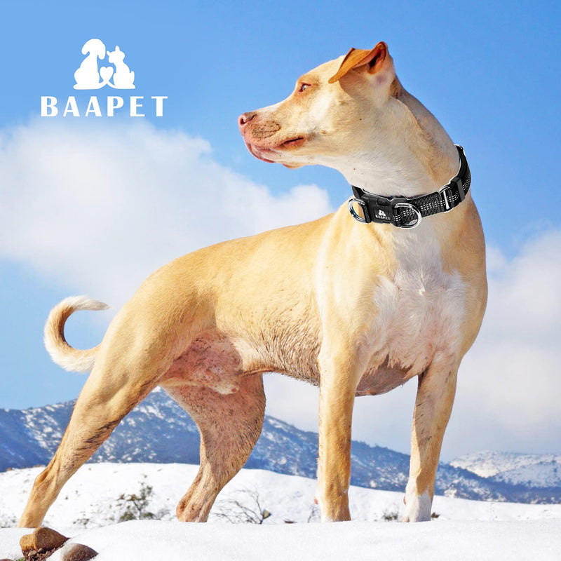 BAAPET Comfortable Dog Collar with Double Security Dual D-Ring and ID Tag Hanger for Small Puppy, Medium and Large Dogs (XS - 3/4" x (9"-13"), Black) XS - 3/4" x (9"-13")