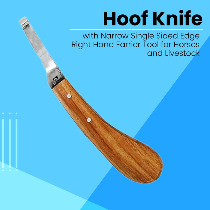 Hoof Knife with Narrow Single Sided Edge Right Hand Farrier Tool for Horses and Livestock – Premium Stainless Steel Hoof Trimming Knife with Ergonomic Contoured Handle for Better Grip Narrow Blade - RH