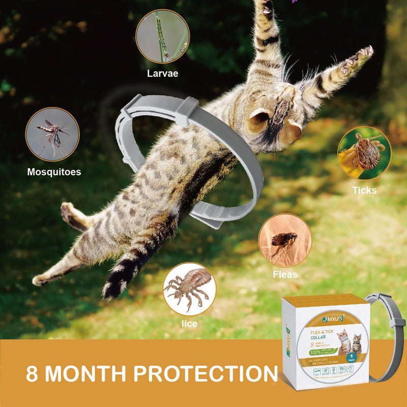 Flea and Tick Collar for Cats &Kitten, Natural Essential Oil Flea and Tick Prevention for Cats, 15 Inch, 8 Month Protection, 2 Pack - PawsPlanet Australia