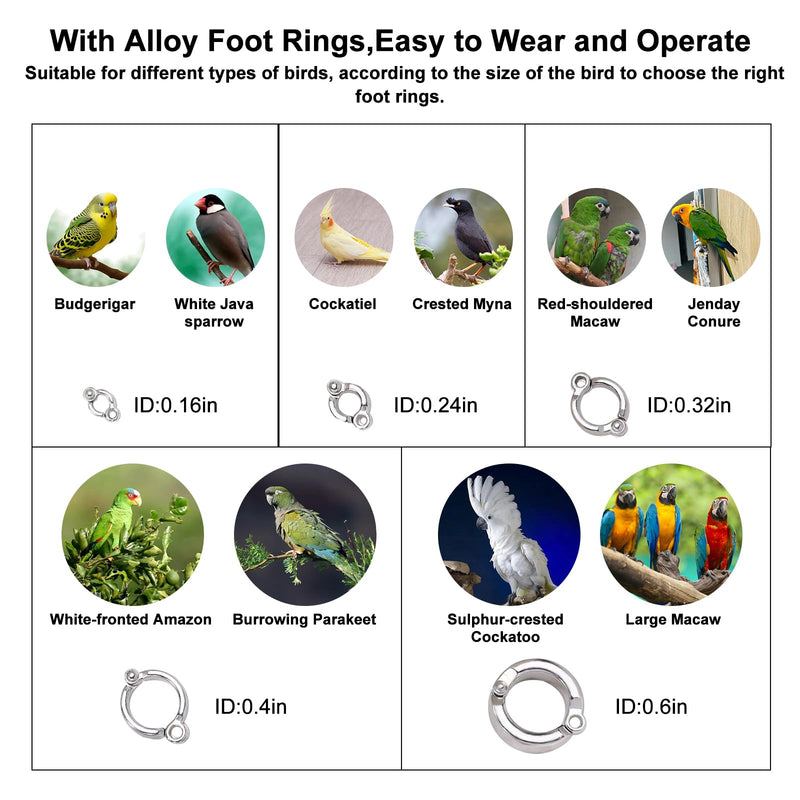 Retractable Bird Leash,Parrot Flying Rope,Anti-Bite Wire Rope Parrot Leash,Adjustable Bird Leash Harness for Training,with 5pcs Alloy Foot Rings,for Budgies,Cockatiels,Crested Cockatoo,Macaws,20ft - PawsPlanet Australia