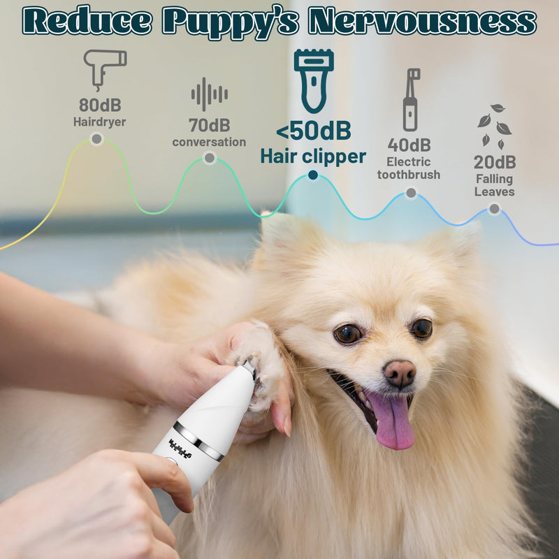 MALLMALL6 4 in 1 Dog Grooming Kit, High Performance 4 Hours Battery Life Professional Pet Clipper Set for Thick Fur, 2 Speed Low Noise Cat Shaver Paw Trimmer for Home Pet Grooming Shop White - PawsPlanet Australia