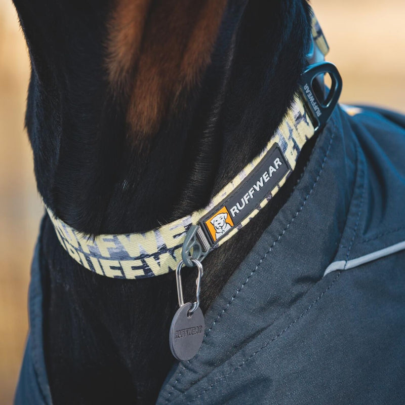 Ruffwear Front Range Medium Dog Collar, Pet Dog Collar with Aluminum V-ring Dog Lead Attachment, Comfortable & Strong with Side Buckle & Webbing for Dog Walking, Size M (36-51cm), Mountains Logo