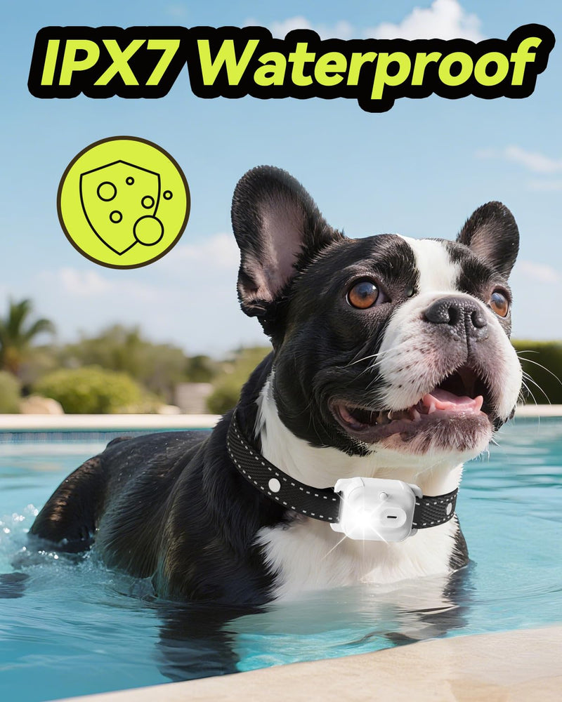 Dog Shock Collar, Dog Training Collar with Remote Control 3300FT Range, Electric Collar with Smart Light, Rechargeable Waterproof E Collar with for Small Medium Large Dogs(2pc-BB) - PawsPlanet Australia