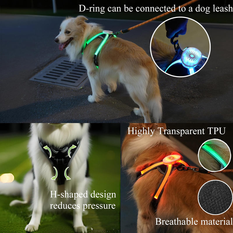 Light Up Dog Harness 2025 LED Dog Harness with RGB Multi-Color Mode & Super Bright TPU Strip, USB Rechargeable, Waterproof, Adjustable Glow in The Dark Harness for Night Walking Safety, Avoid Accident S - PawsPlanet Australia