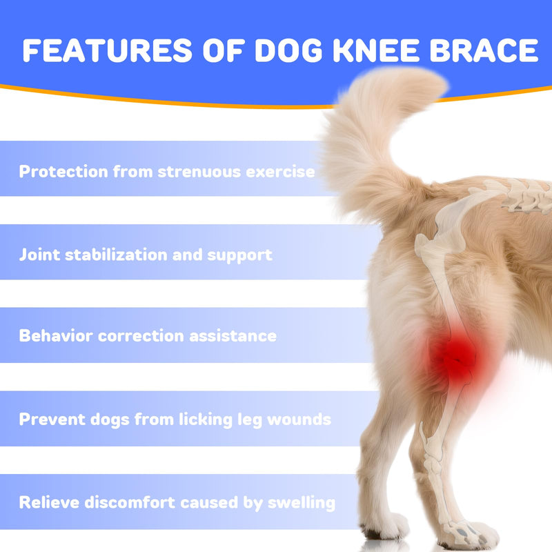 RUXAN Dog Knee Brace for Torn Acl, Dog Leg Braces for Back Leg, Knee Brace for Arthritis Pain and Support, Dogs Rear Leg Wrap Harness Set for Leg Wound Care and Lick Prevention-XL