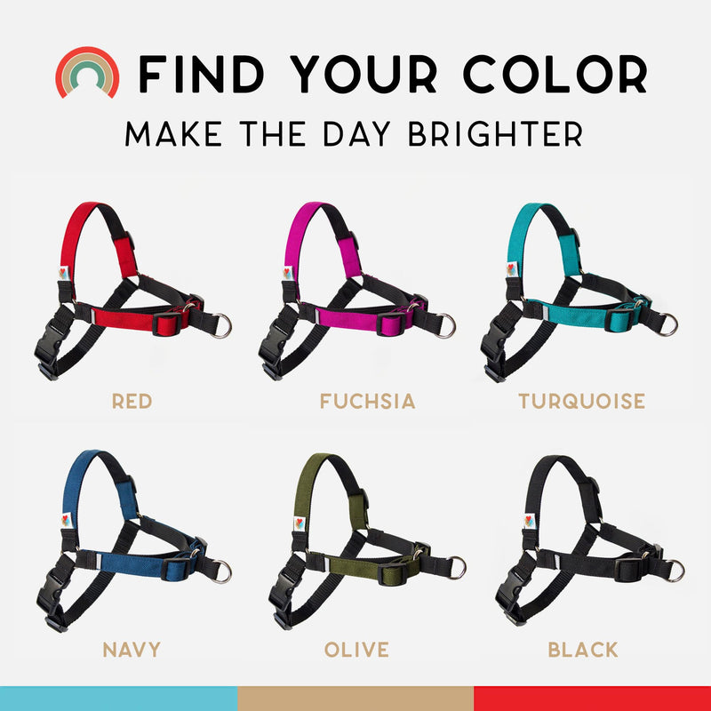 Wildebeest No Pull Dog Harness | Comfortable Training Harnesses | Effective No Pull Harness Design | Ideal for Medium Sized Dog | 4-Point Adjustable(M - 22~28 inch Girth, Olive) M - 22~28 inch Girth - PawsPlanet Australia