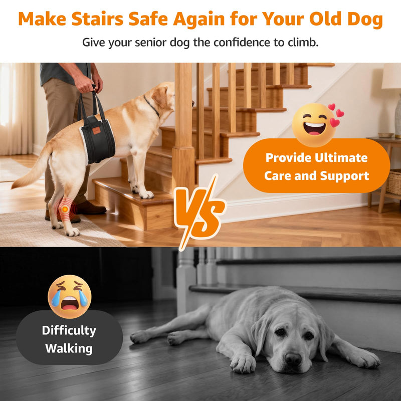 LOOBANI Dog Lift Harness for Back Legs, Portable Dog Sling for Large Dogs Hind Leg Support, Comfortable Leg Support Assistance for Elderly Dogs with Hip, ACL Brace, Senior, Injured - PawsPlanet Australia